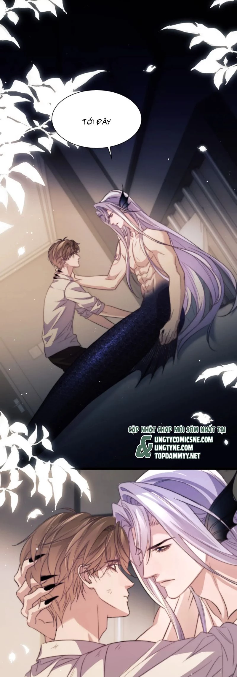 Desharow Nhân Ngư Chapter 102 - 19