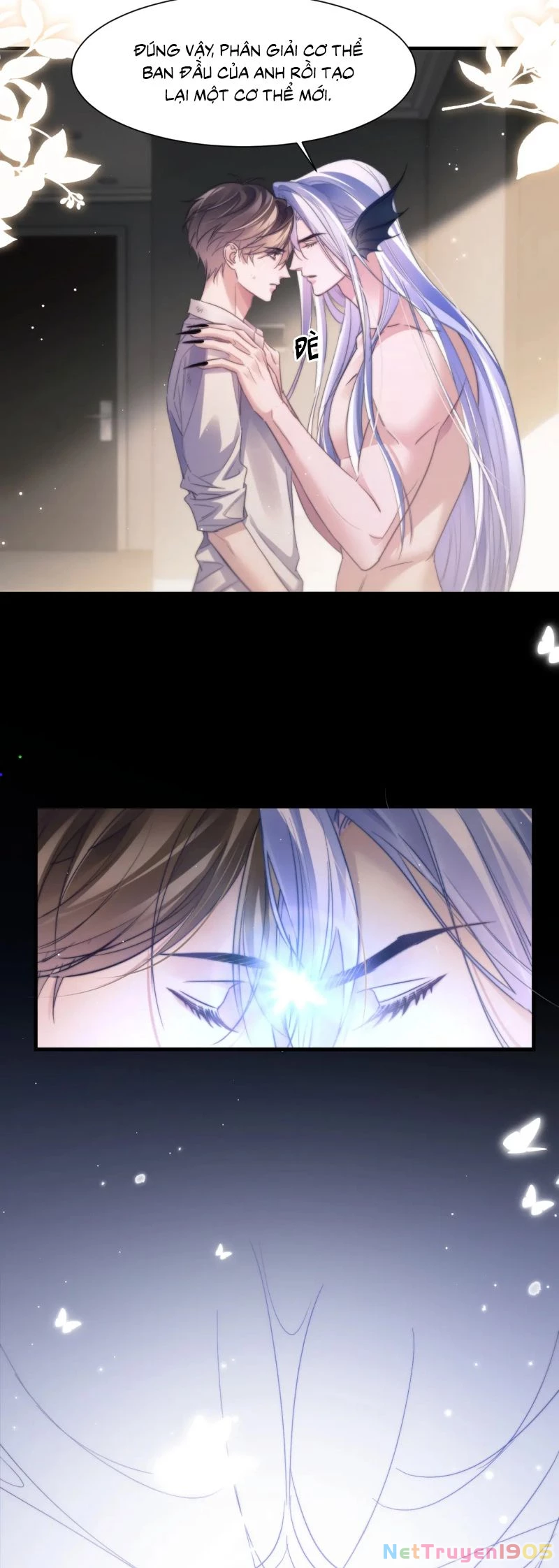 Desharow Nhân Ngư Chapter 103 - 11