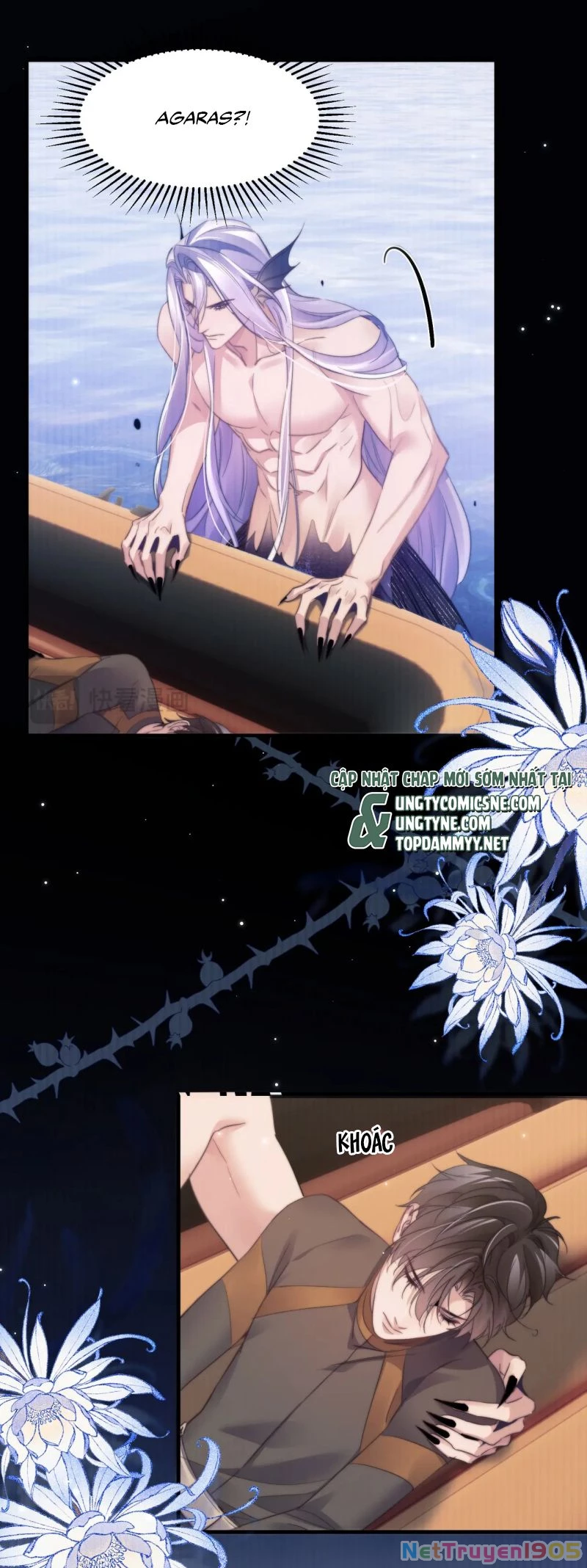 Desharow Nhân Ngư Chapter 103 - 19
