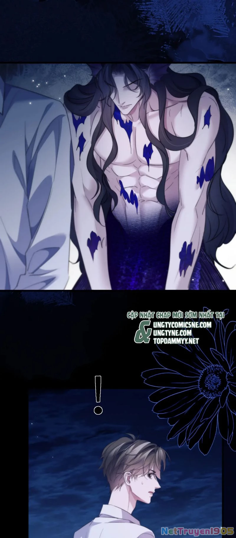 Desharow Nhân Ngư Chapter 104 - 14