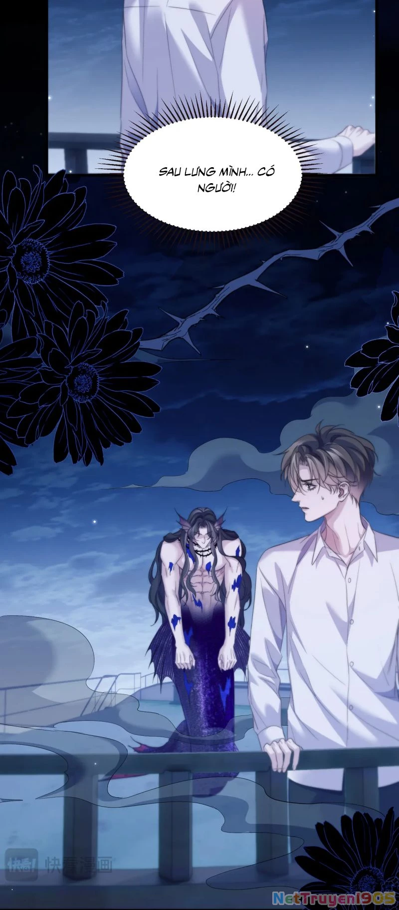 Desharow Nhân Ngư Chapter 104 - 15
