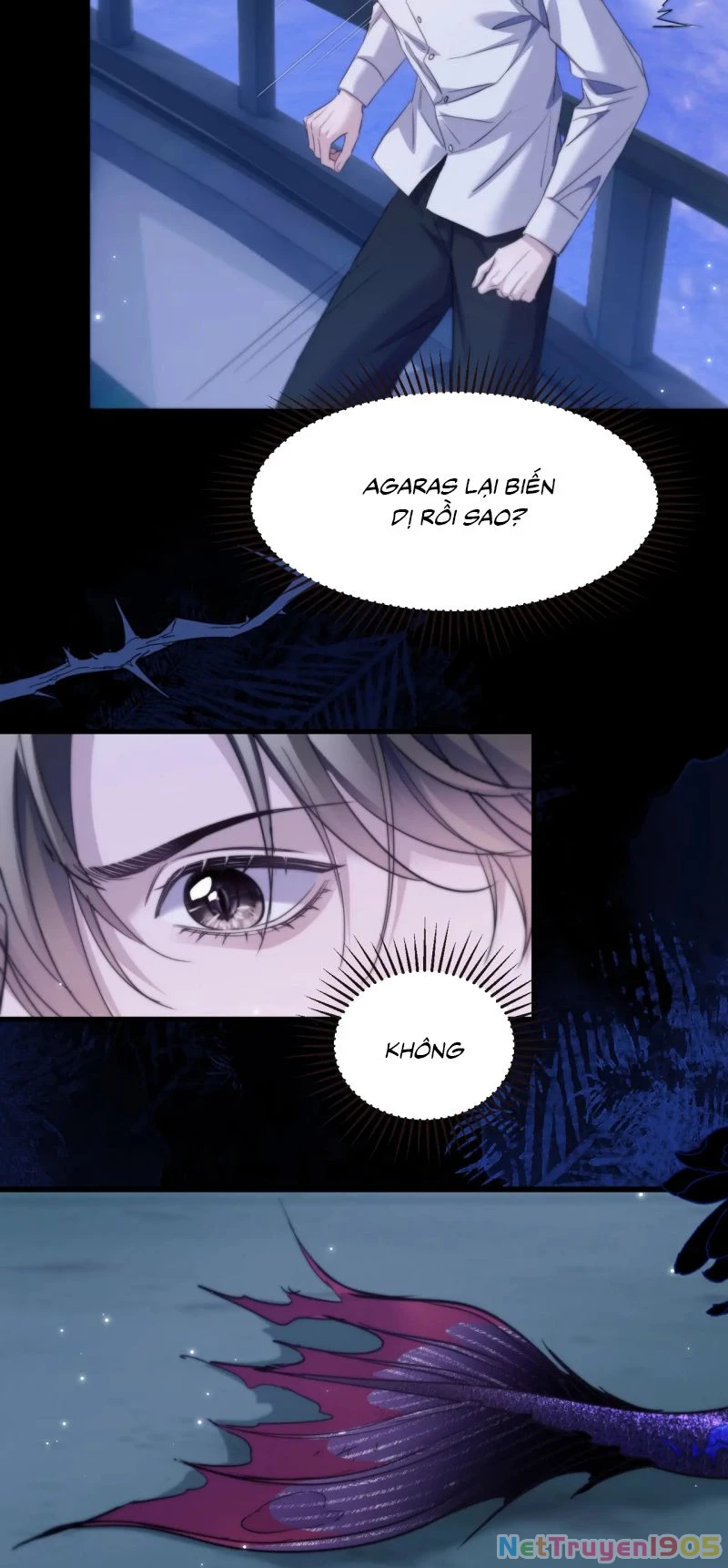 Desharow Nhân Ngư Chapter 104 - 17