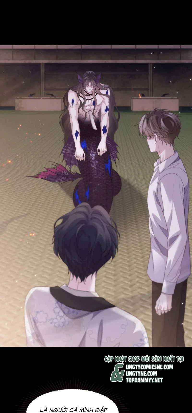 Desharow Nhân Ngư Chapter 104 - 26