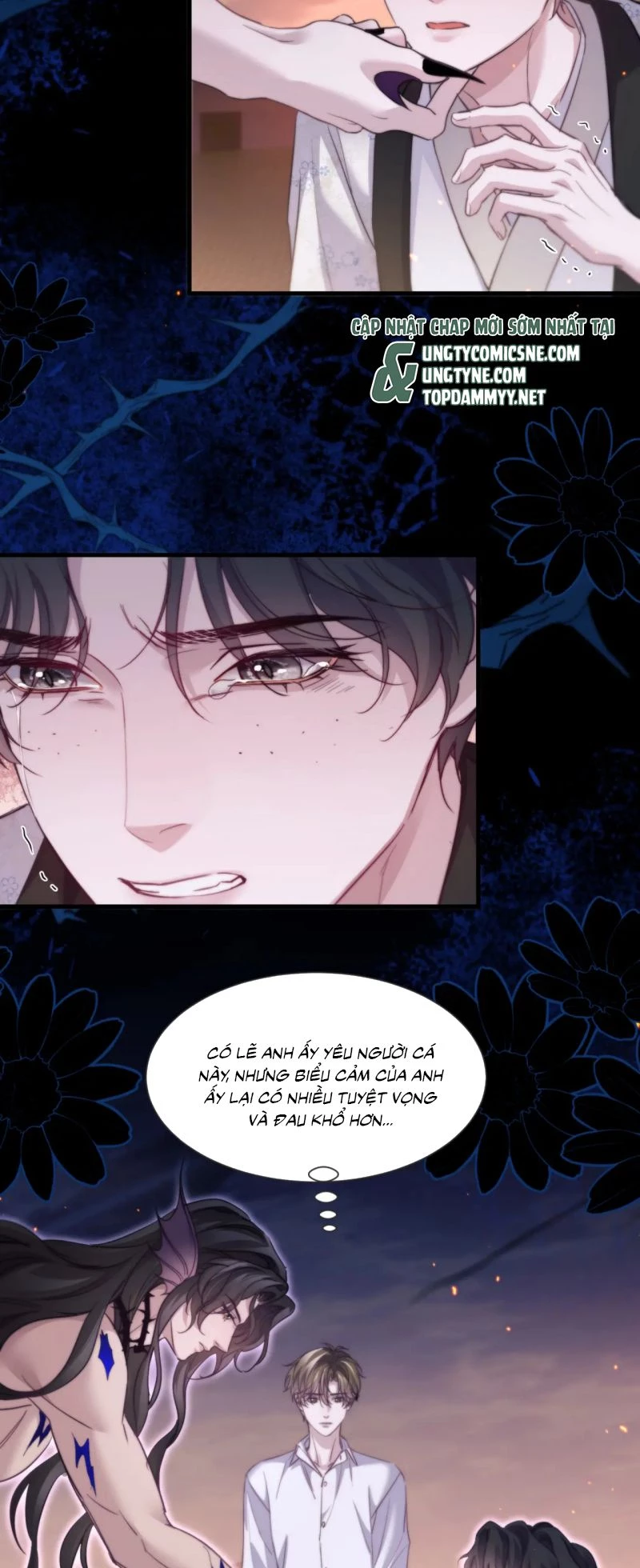 Desharow Nhân Ngư Chapter 105 - 5