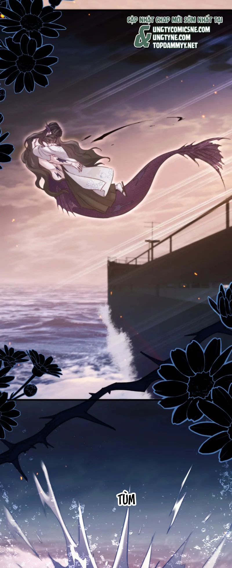 Desharow Nhân Ngư Chapter 105 - 9