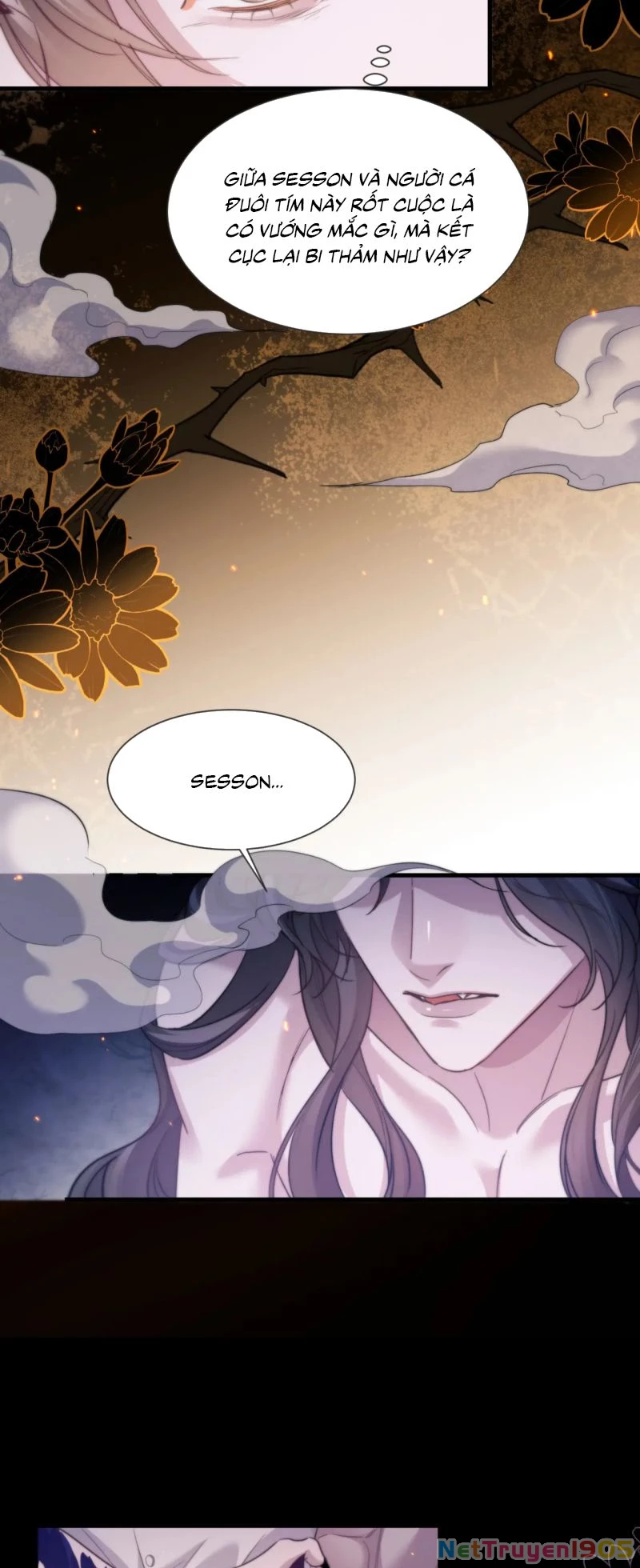 Desharow Nhân Ngư Chapter 105 - 11