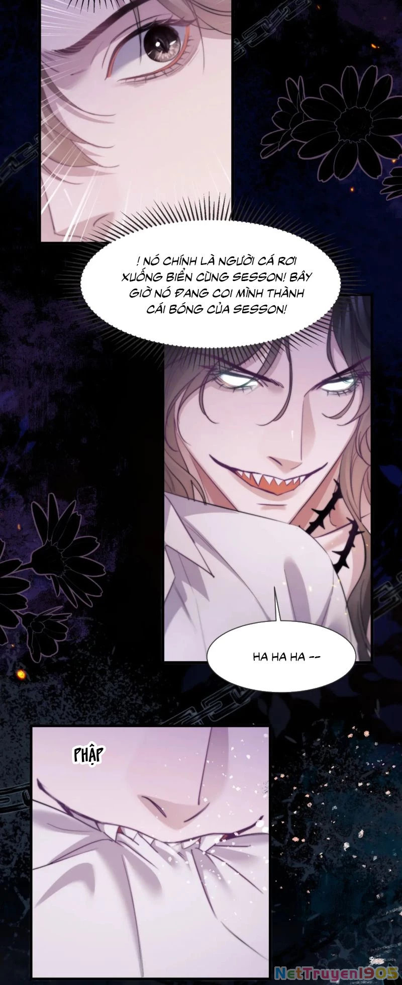 Desharow Nhân Ngư Chapter 105 - 13