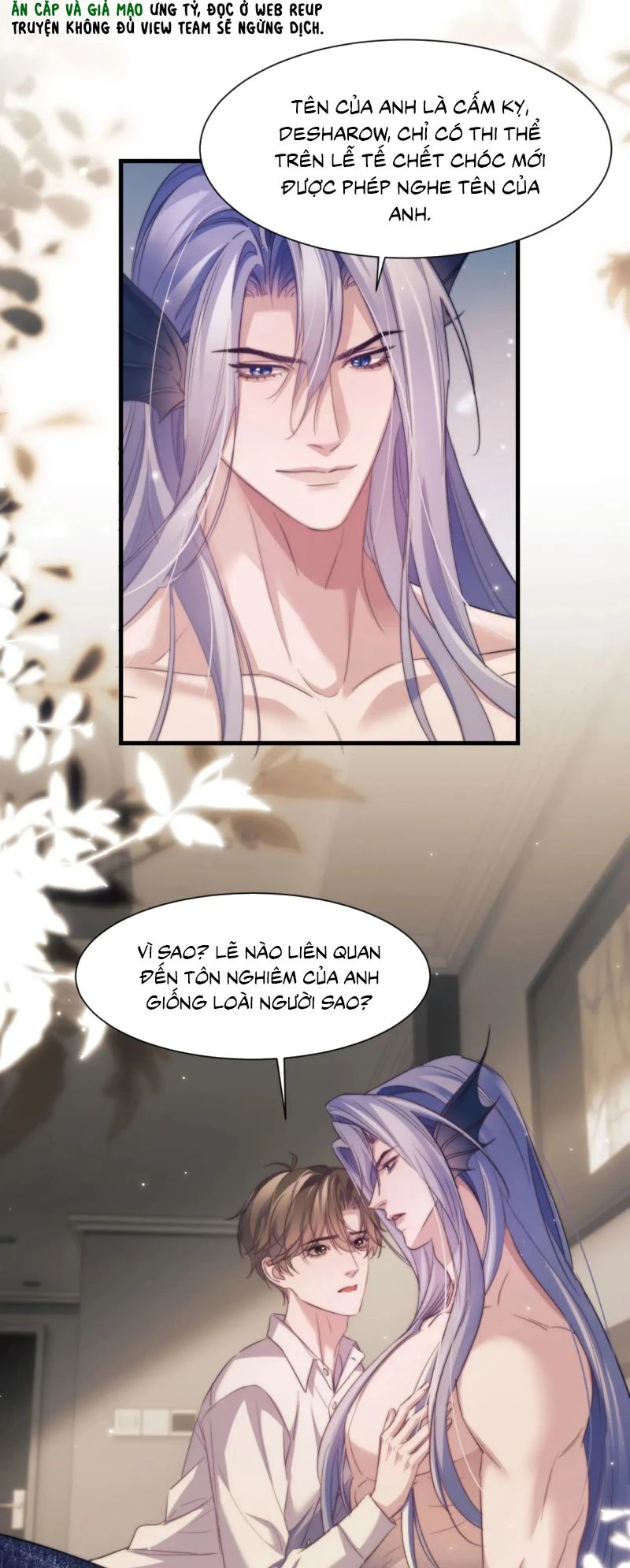 Desharow Nhân Ngư Chapter 106 - 8