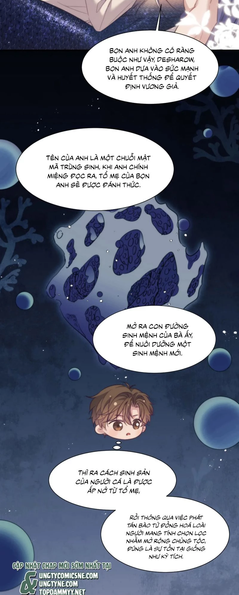 Desharow Nhân Ngư Chapter 106 - 9