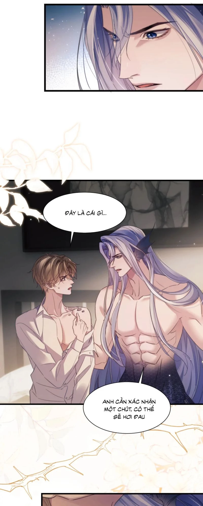 Desharow Nhân Ngư Chapter 106 - 12