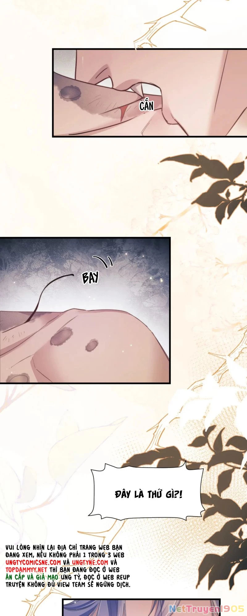 Desharow Nhân Ngư Chapter 106 - 14
