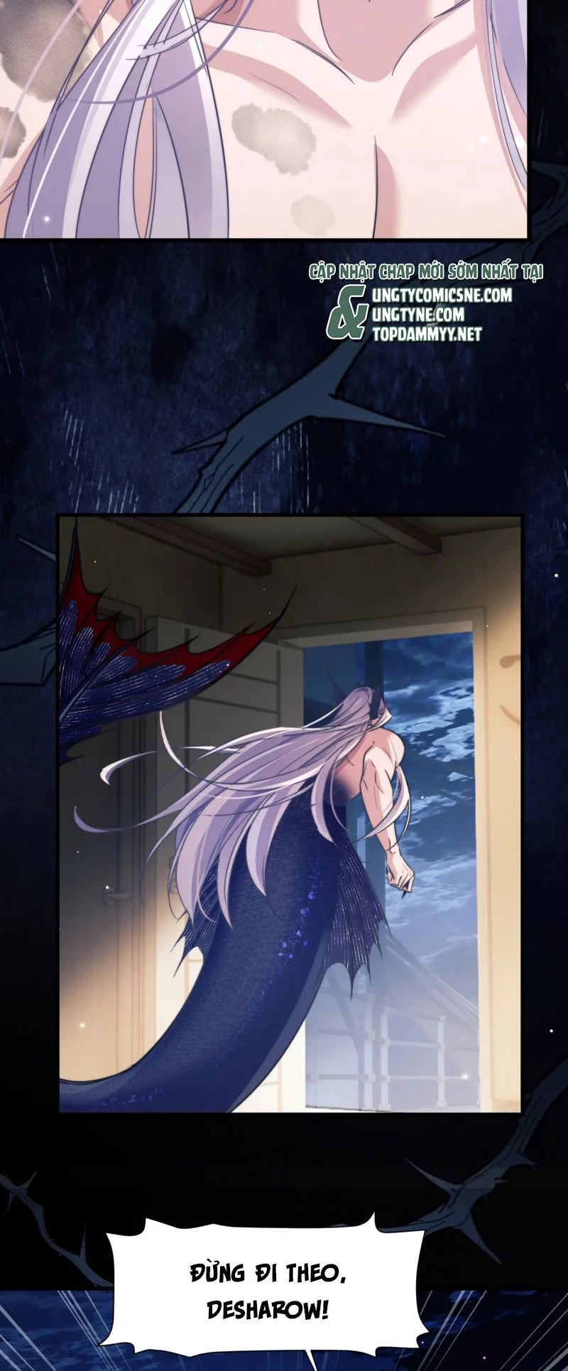 Desharow Nhân Ngư Chapter 107 - 20
