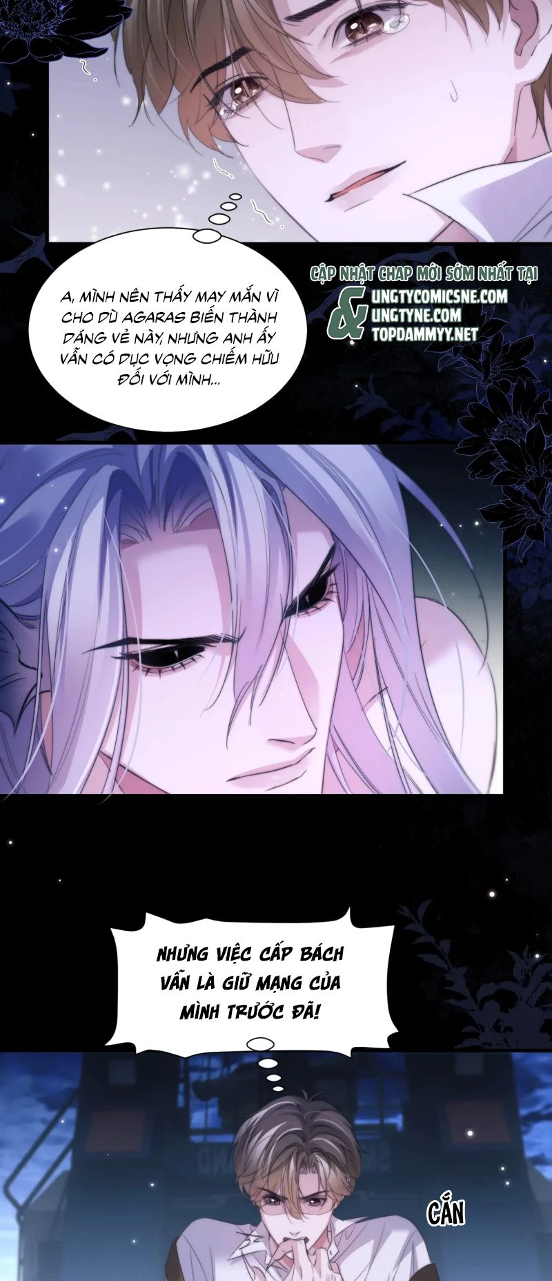 Desharow Nhân Ngư Chapter 108 - 25