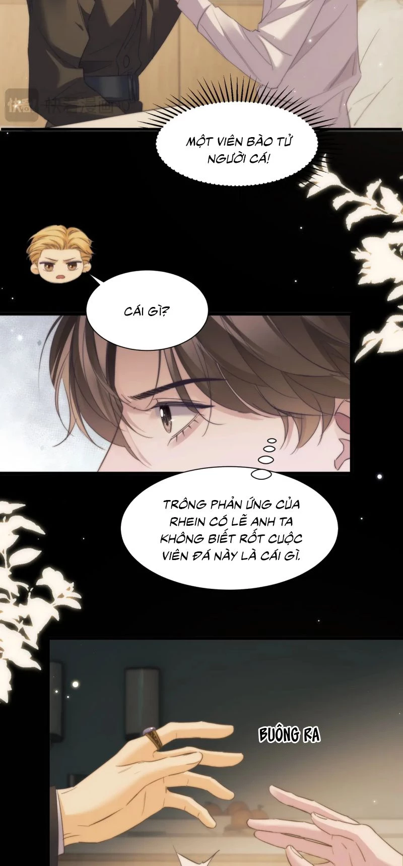 Desharow Nhân Ngư Chapter 109 - 16
