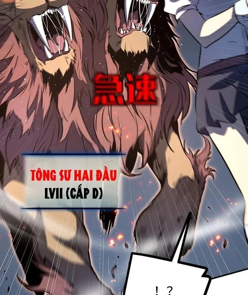 Thức Tỉnh Toàn Chức Chapter 20 - 63
