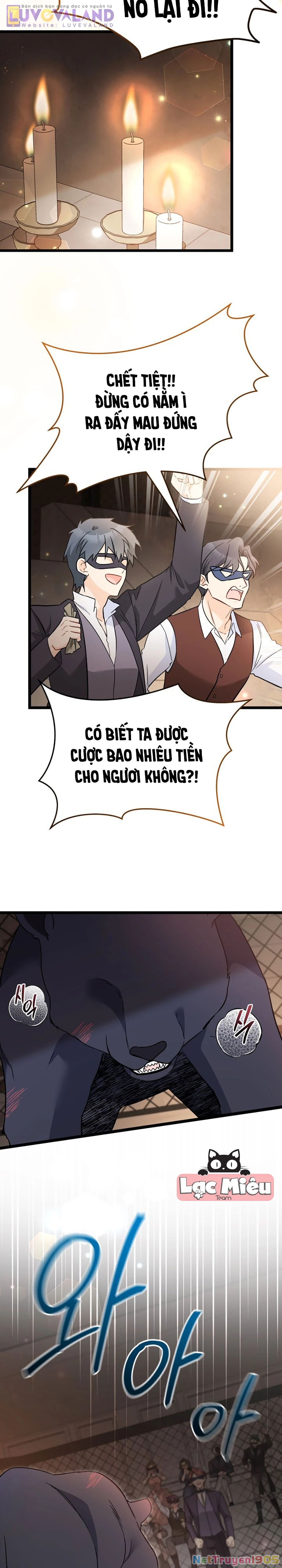 Mối Liên Kết Giữa Báo Đen Và Bé Thỏ Chapter 186 - 16