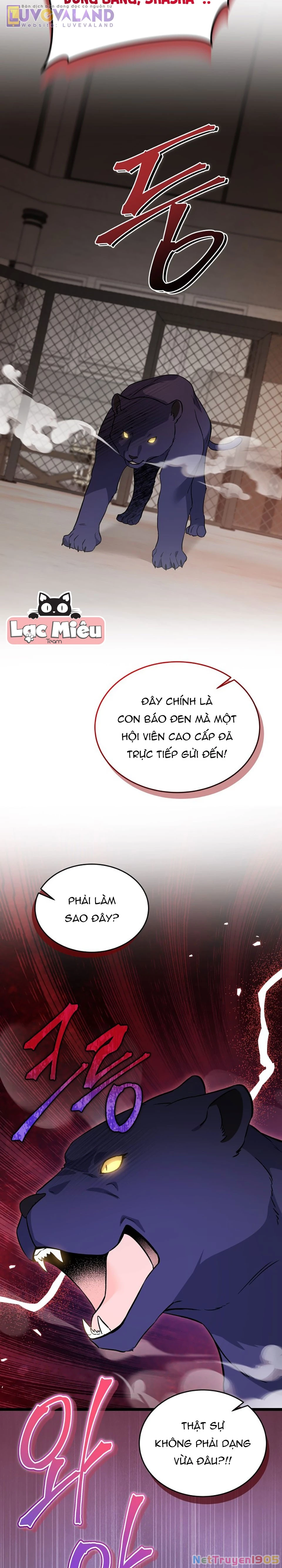 Mối Liên Kết Giữa Báo Đen Và Bé Thỏ Chapter 186 - 18
