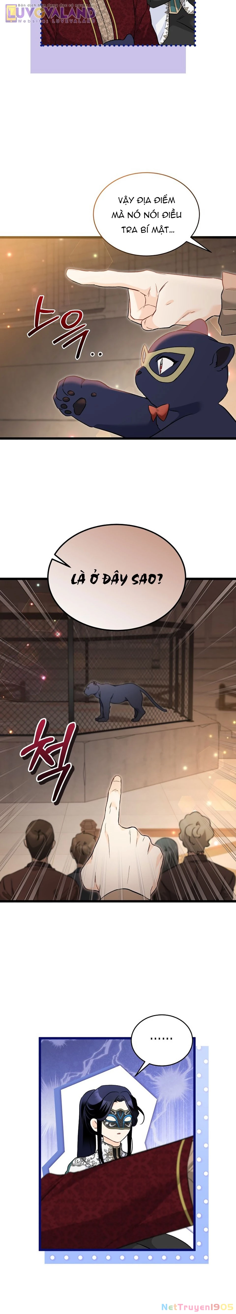 Mối Liên Kết Giữa Báo Đen Và Bé Thỏ Chapter 186 - 25