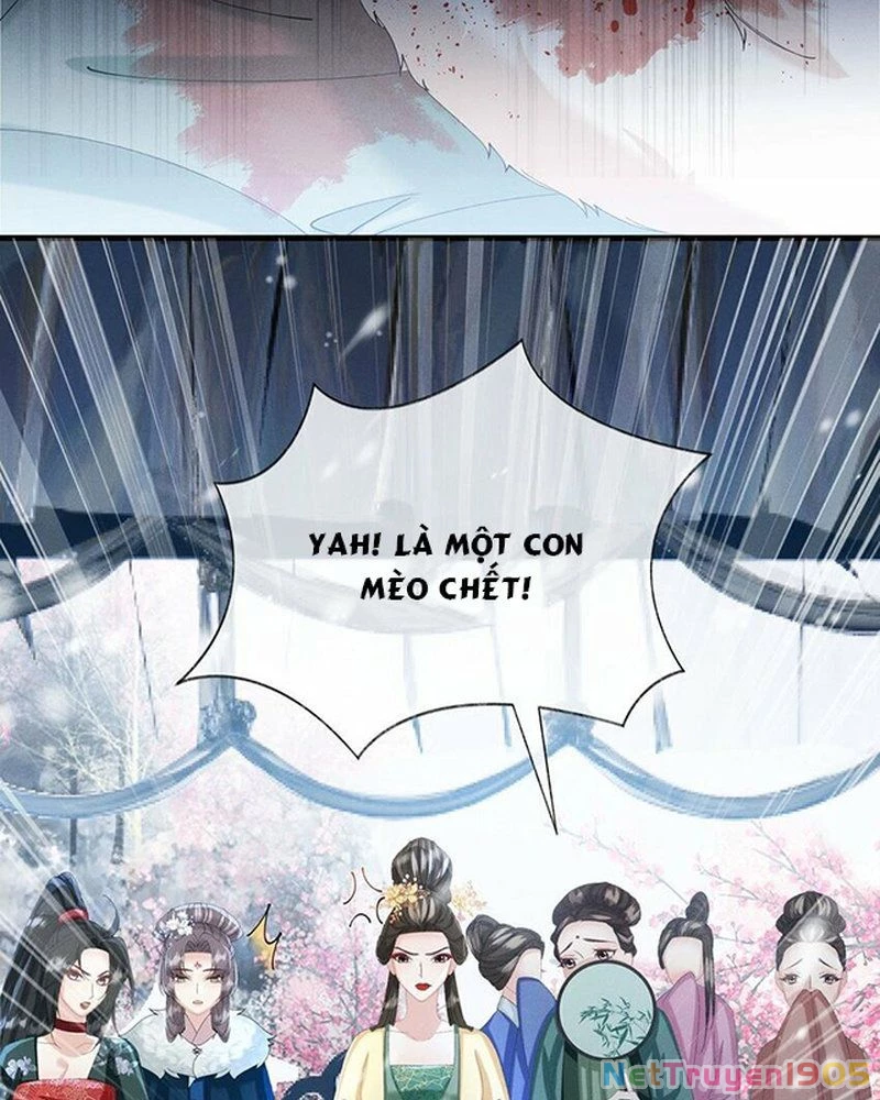 Nại Hà Công Chúa Quá Đen Đủi Chapter 11 - 18