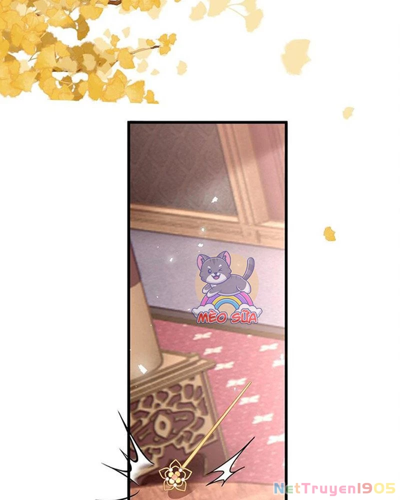 Nại Hà Công Chúa Quá Đen Đủi Chapter 19 - 15