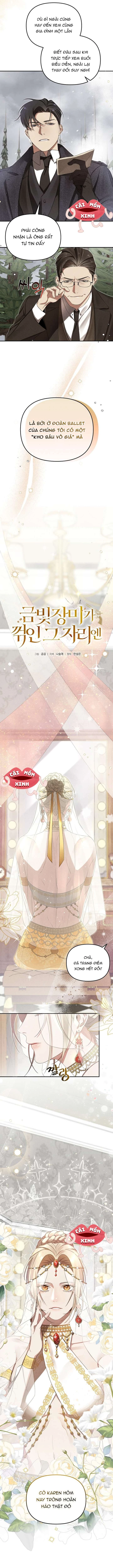 Nơi Đóa Hồng Vàng Úa Tàn Chapter 1 - 4