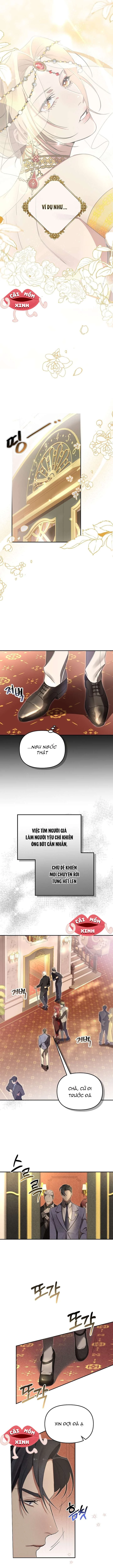 Nơi Đóa Hồng Vàng Úa Tàn Chapter 1 - 11