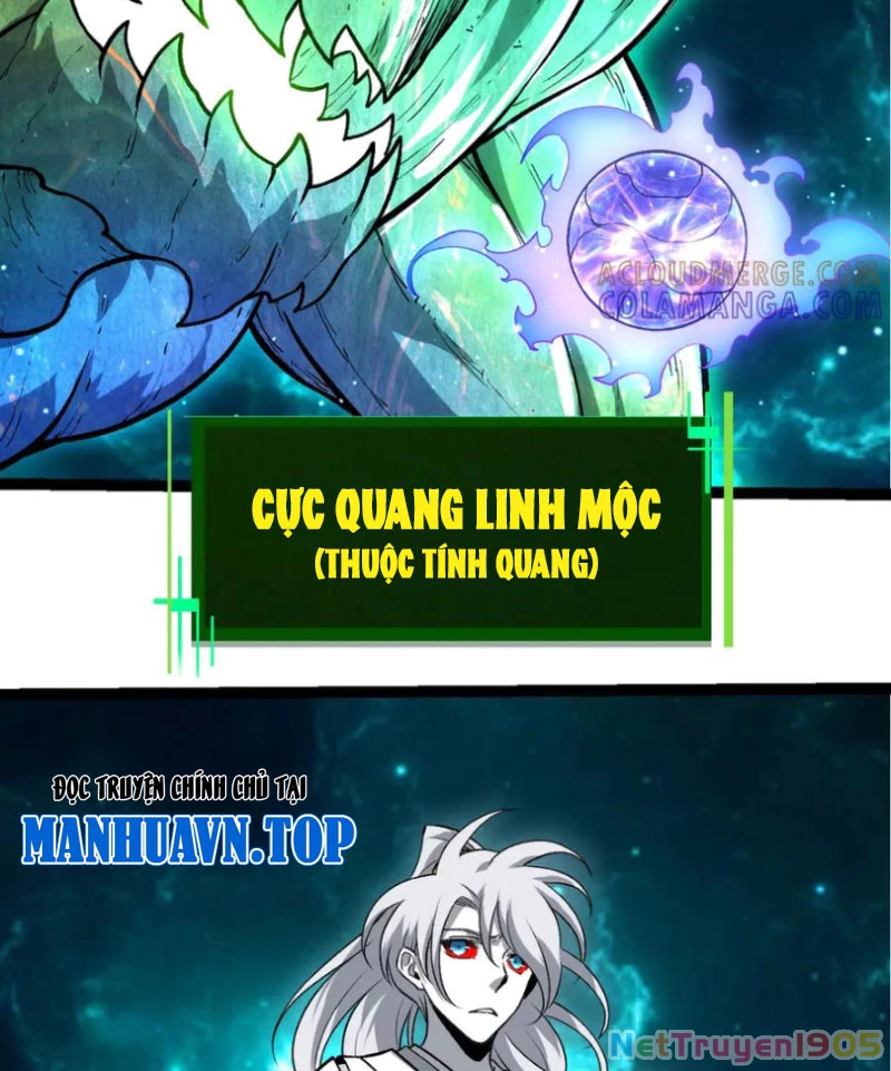 Chuyển Sinh Thành Liễu Đột Biến Chapter 422 - 4