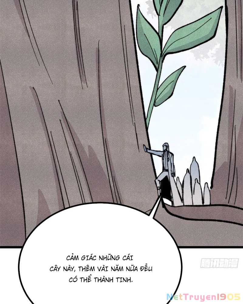 Vạn Cổ Tối Cường Tông Chapter 453 - 37