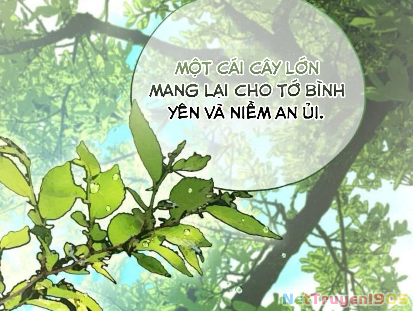 Sự ngây thơ của Yeon Woo Chapter 181 - 105