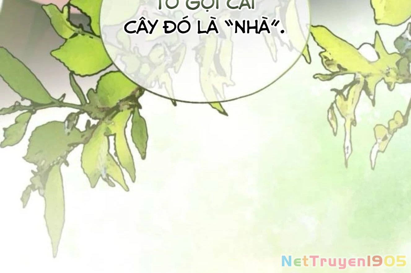 Sự ngây thơ của Yeon Woo Chapter 181 - 129