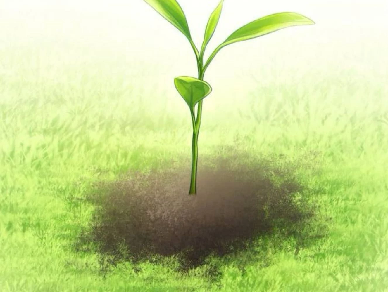 Sự ngây thơ của Yeon Woo Chapter 181 - 198