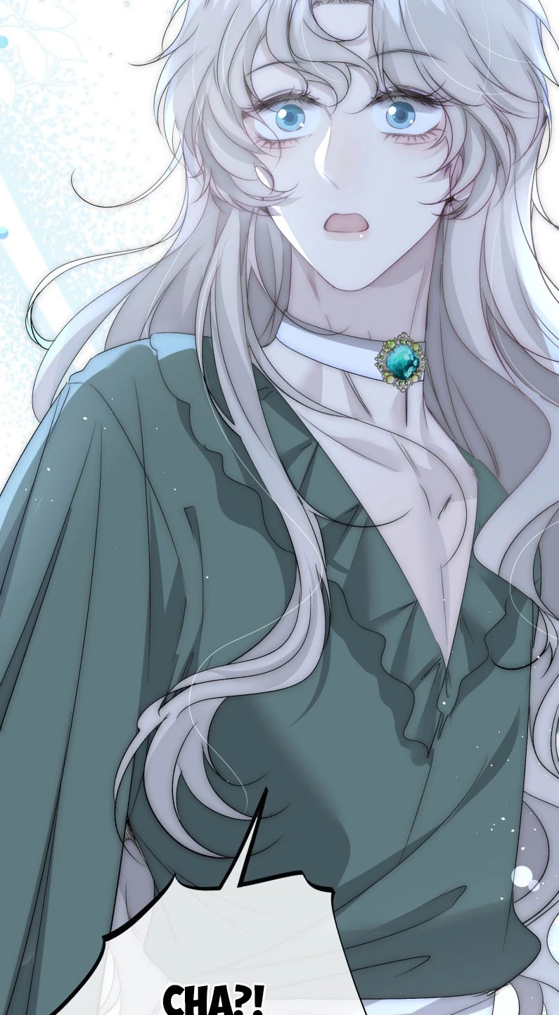 Lồng Tuyết Chapter 27 - 47