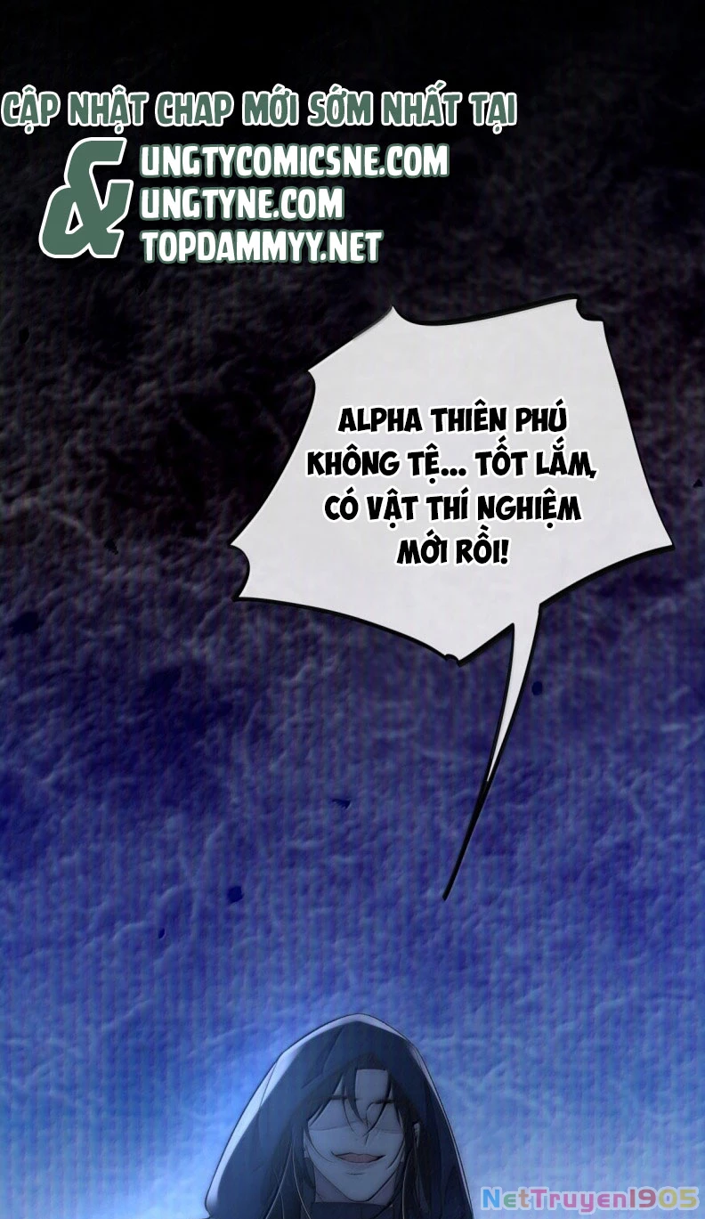 Lồng Tuyết Chapter 30 - 13