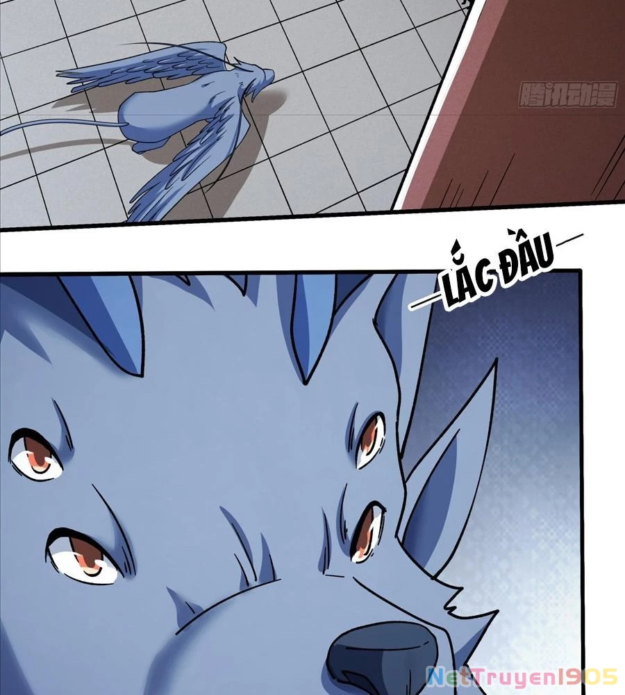 Tuyệt Thế Võ Thần Chapter 1047 - 14