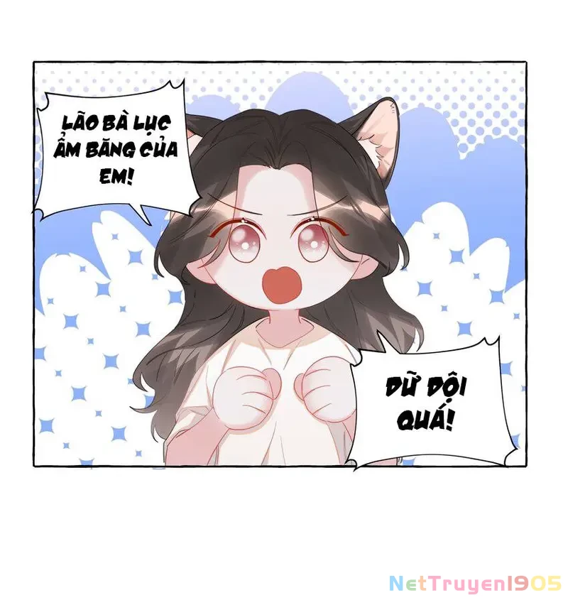 Ảnh hậu thành đôi Chapter 67 - 44