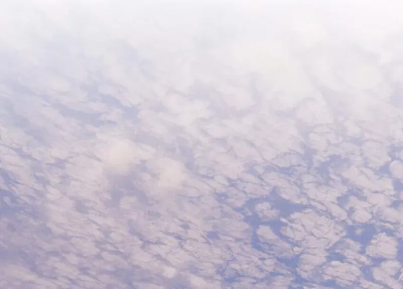 Ảnh hậu thành đôi Chapter 80 - 67