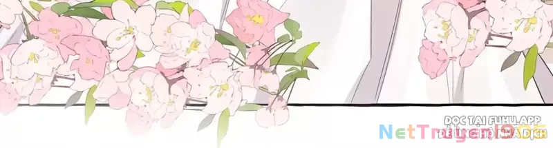 Ảnh hậu thành đôi Chapter 115 - 24