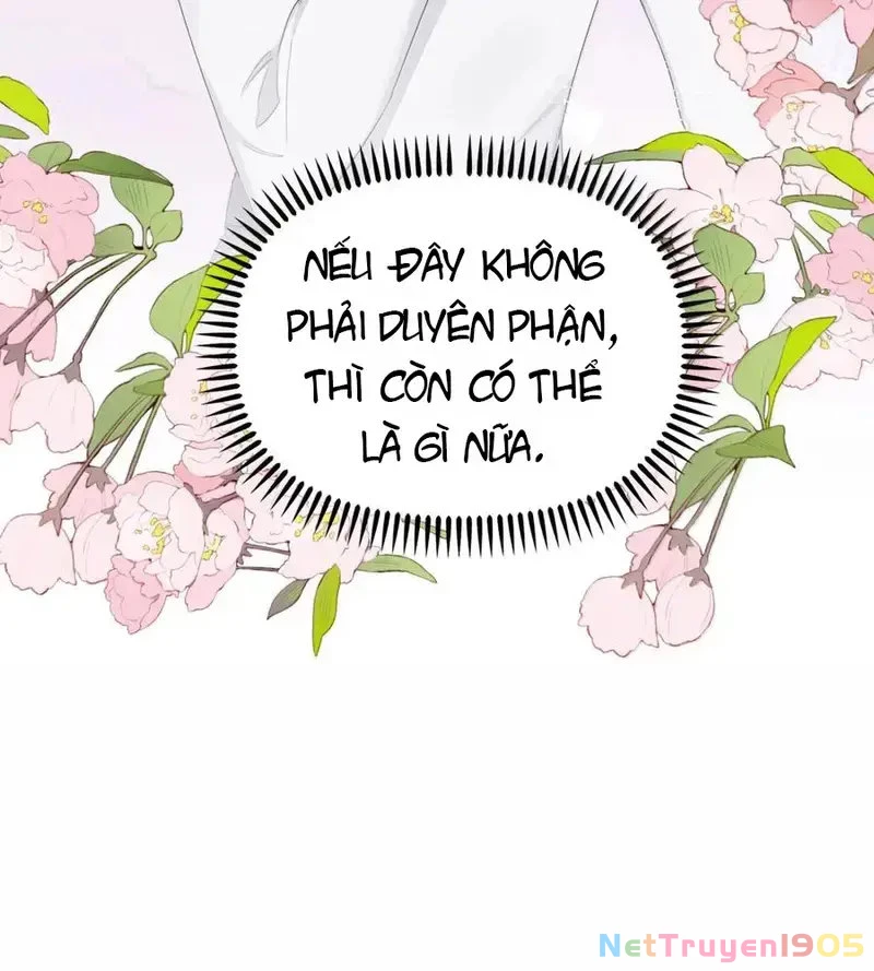 Ảnh hậu thành đôi Chapter 151 - 52