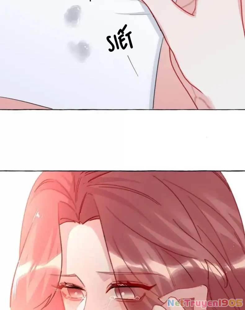 Ảnh hậu thành đôi Chapter 168 - 23