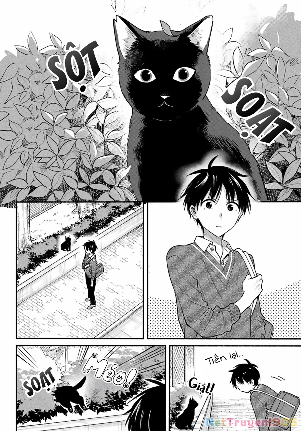 Cô Nàng Mèo Ngủ Gật Và Chàng Trai Hướng Nội Chapter 31 - 2