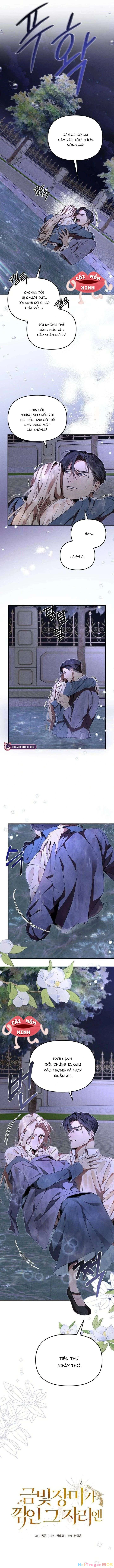 Nơi Đóa Hồng Vàng Úa Tàn Chapter 3 - 8
