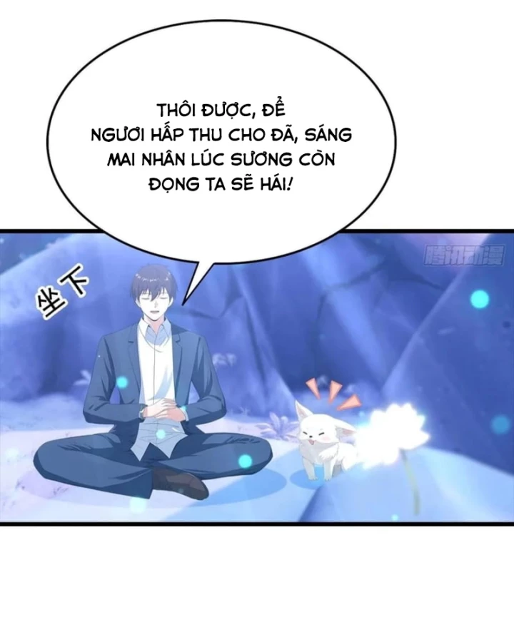 Đô Thị Thánh Thủ: Ta Là Y Võ Đỉnh Phong Chapter 140 - 25