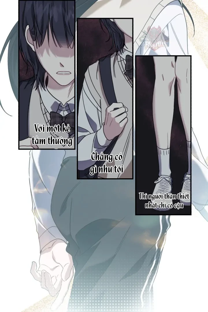 Vương Vấn Không Quên Chapter 1 - 11