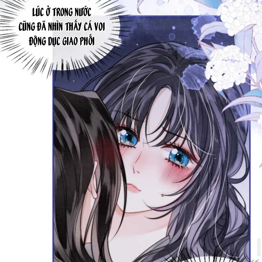 Nhập Hải Chapter 4 - 7