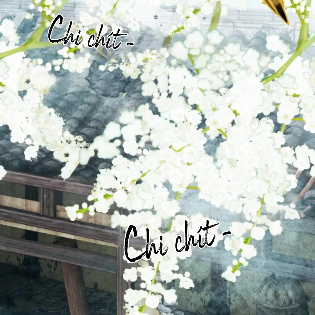 Nhập Hải Chapter 5 - 2