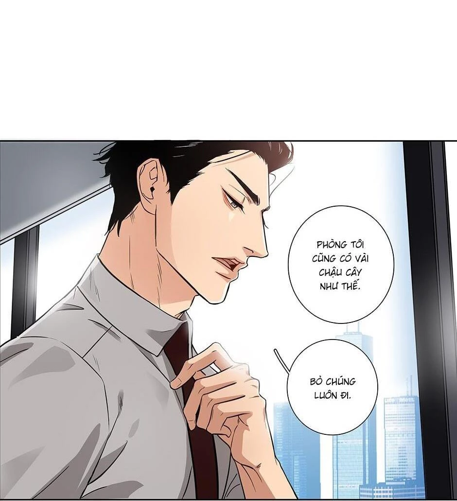 Đừng Chạm Vào Tim Tôi Chapter 1 - 44