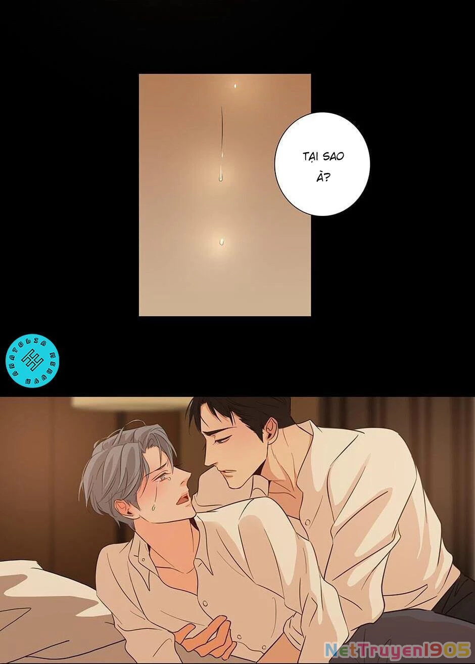 Đừng Chạm Vào Tim Tôi Chapter 11 - 14