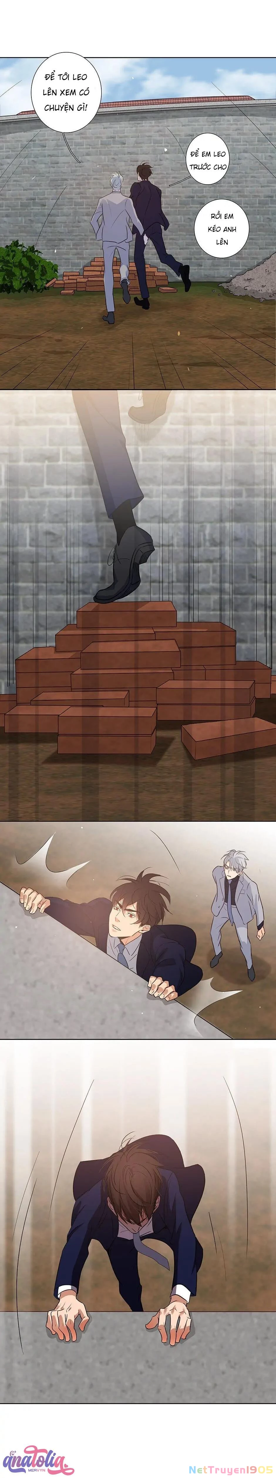 Đừng Chạm Vào Tim Tôi Chapter 36 - 8