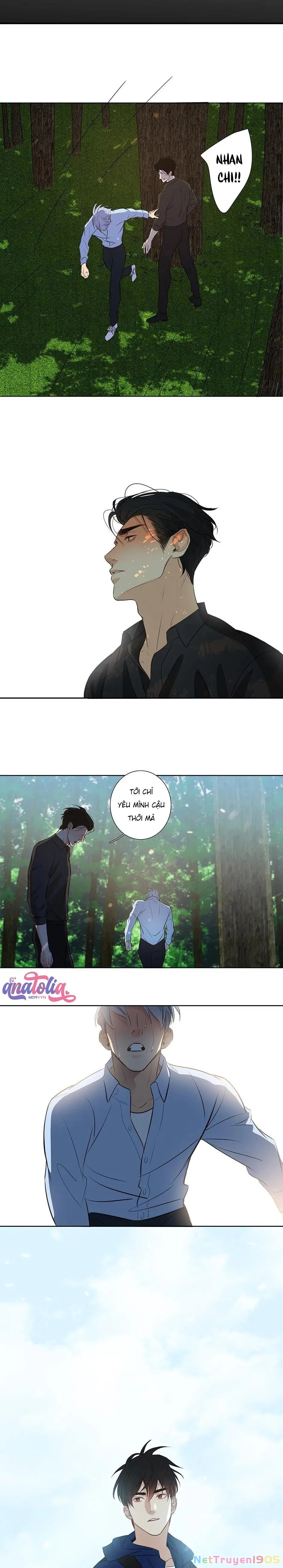 Đừng Chạm Vào Tim Tôi Chapter 39 - 8