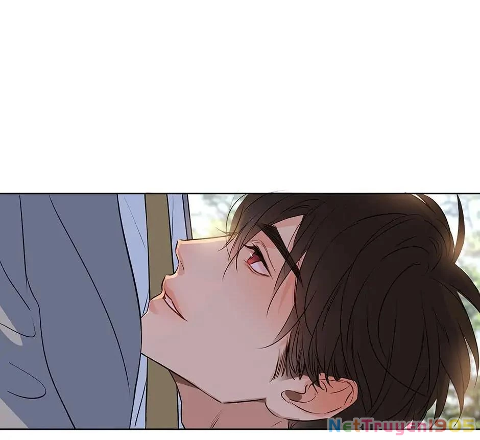 Đừng Chạm Vào Tim Tôi Chapter 41 - 33